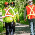 County staff wearing protective equipment while walking in the County Forest