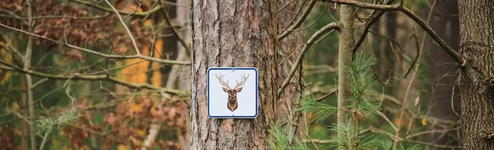 Trail sign