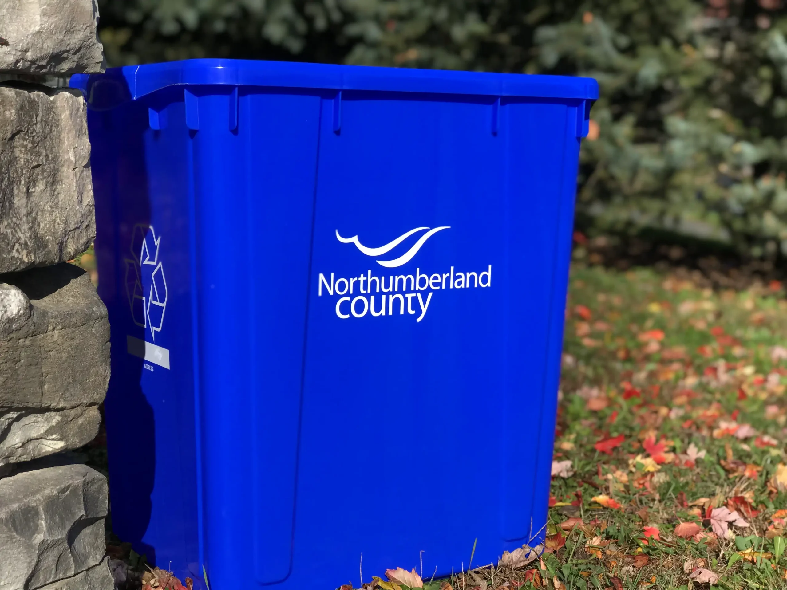 Northumberland County blue recycling bin sitting at a curb. 