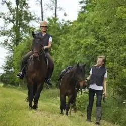 horseback riders in forest