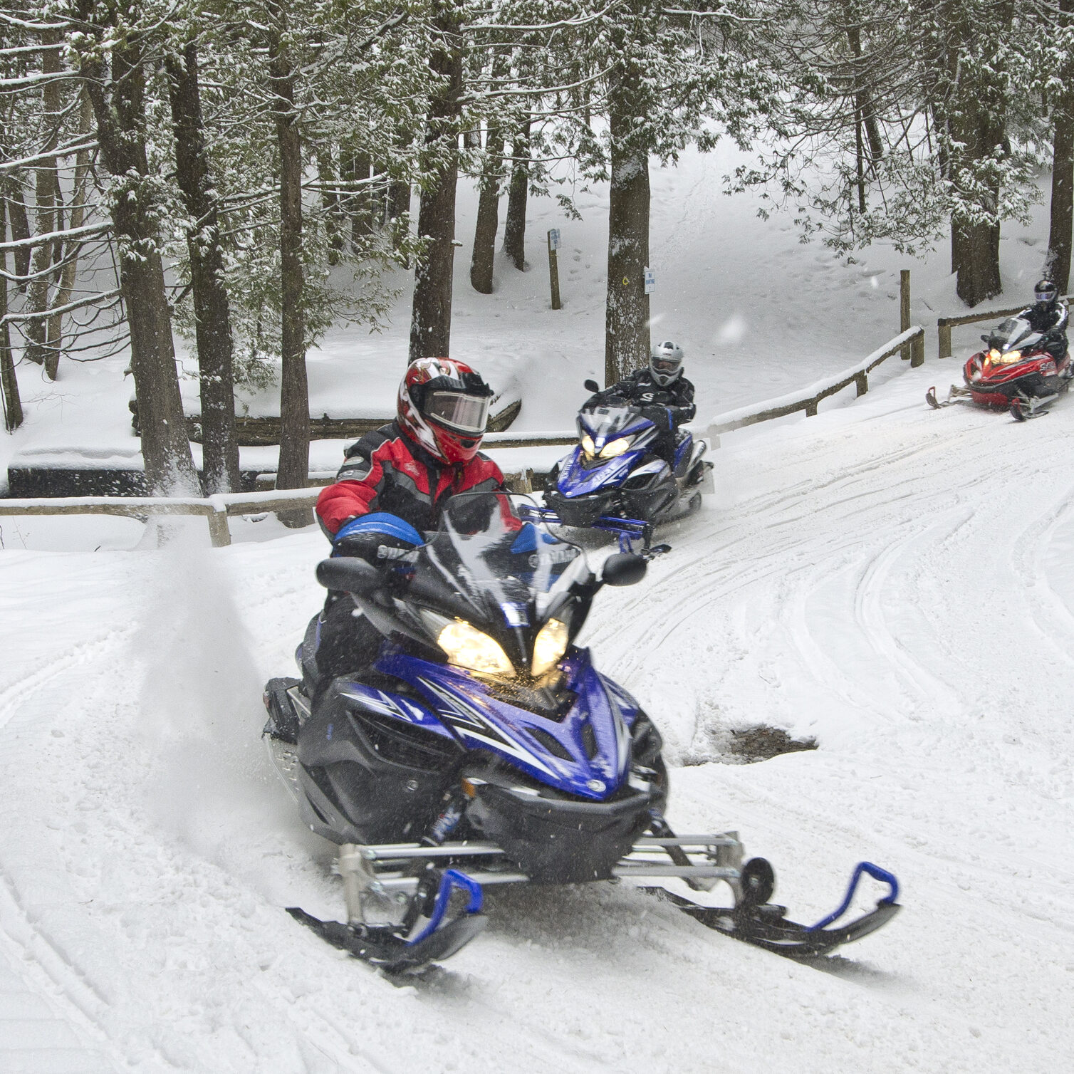 Snowmobiling in a forest