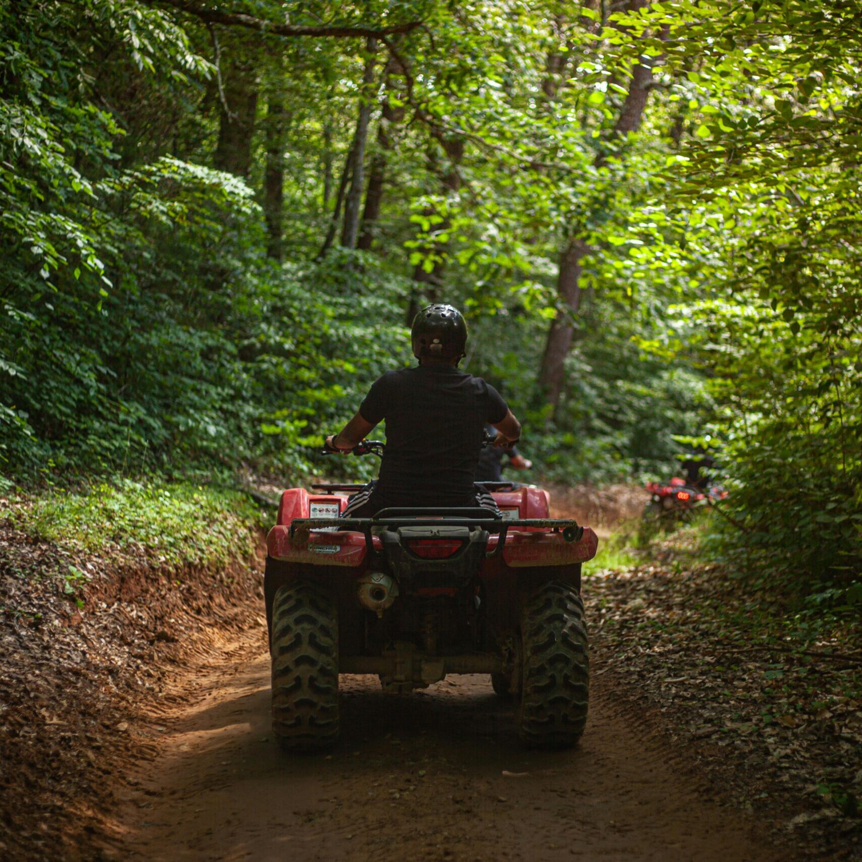 ATV in forest