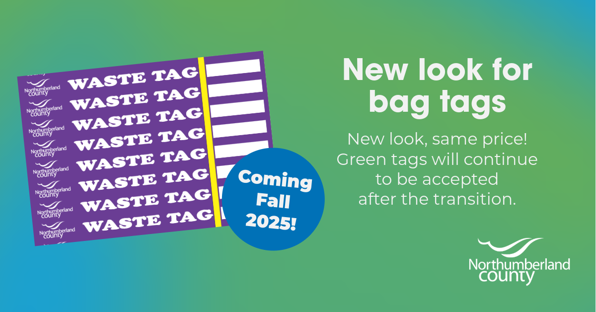 Purple Northumberland County bag tags on a green gradient background. Text reads "New look for bag tags. New look, same price! Green tags will continue to be accepted after the transition." The Northumberland County logo is in the lower right corner.