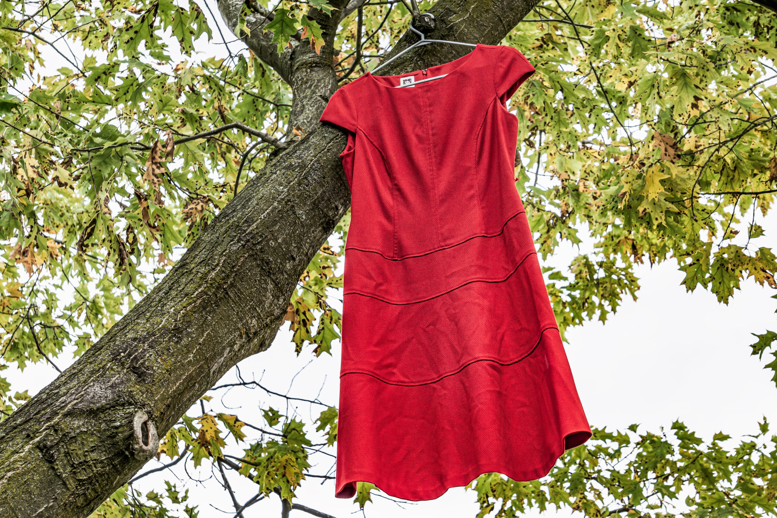 Red Dress hanging from a tree.