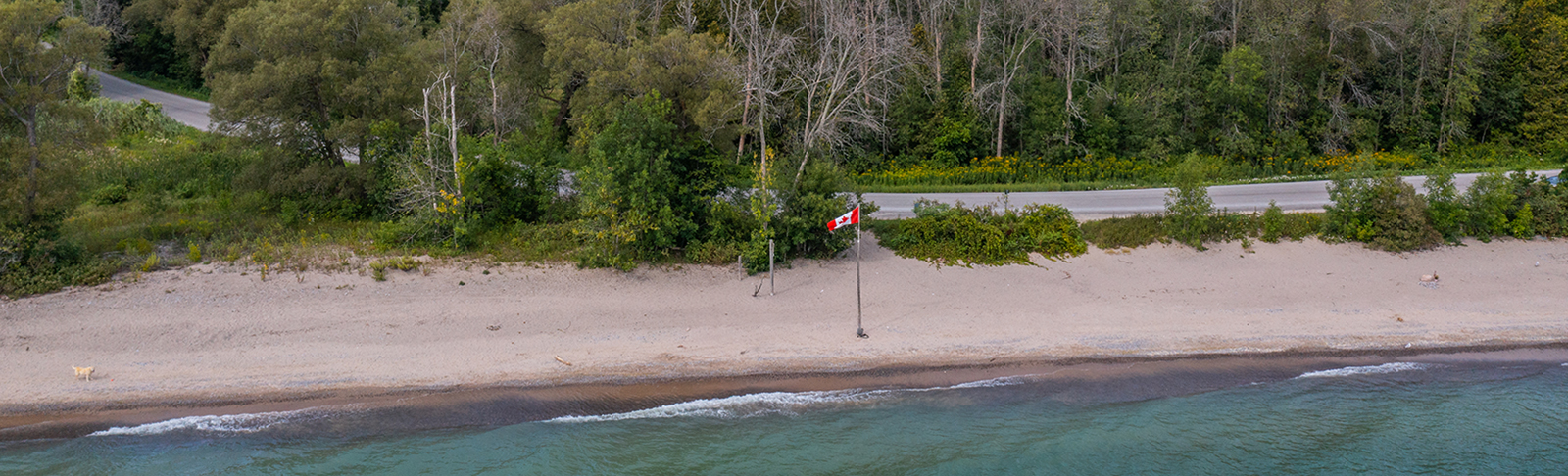 Arial view of Wicklow Beach.