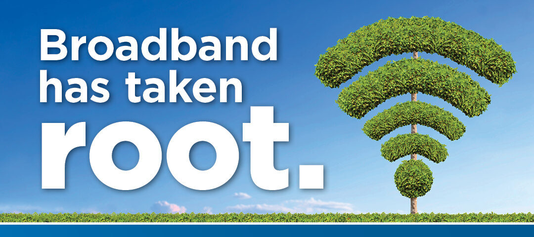 Image of a tree in the shape of a wifi symbol, with text that says 'Broadband has taken root. One million metres of high-speed conduit is in the ground. Connecting our future NOW."