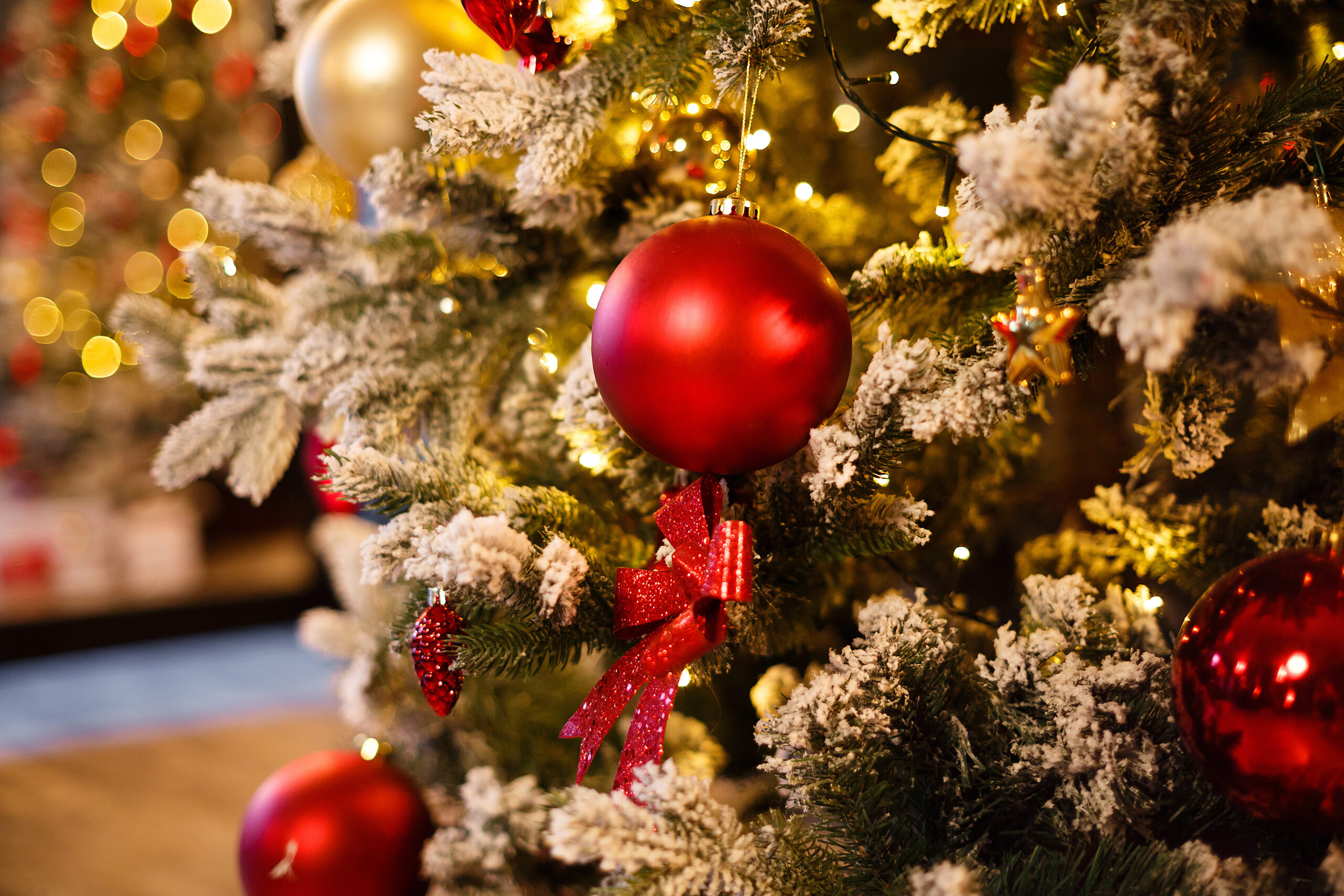 Christmas decorations on a tree.