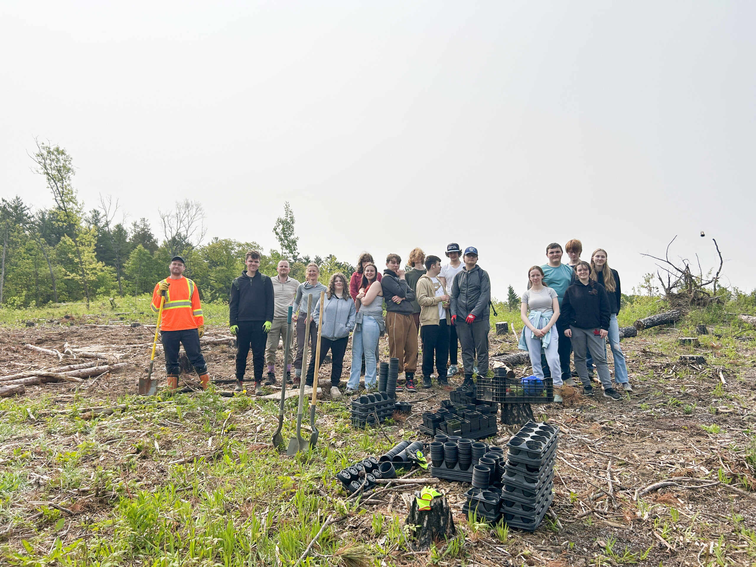 Students help plant trees in Northumberland County Forest