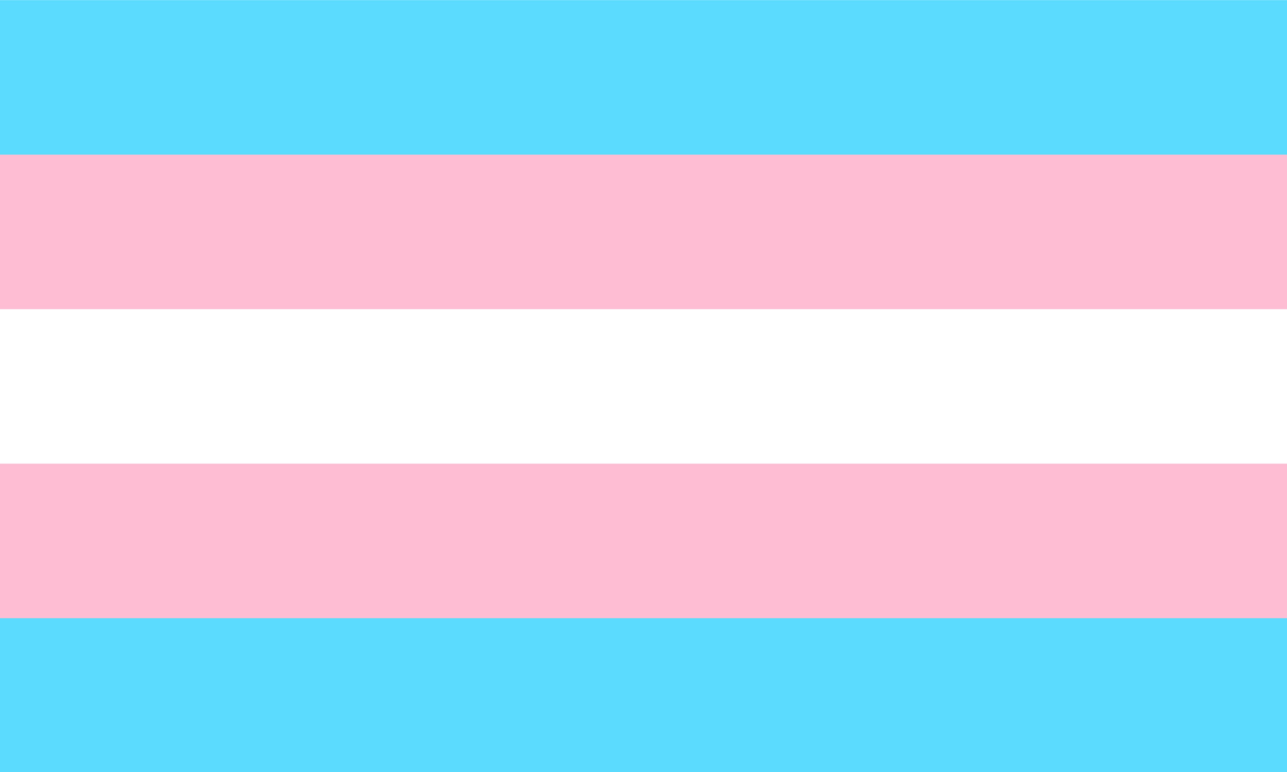 Transgender flag.