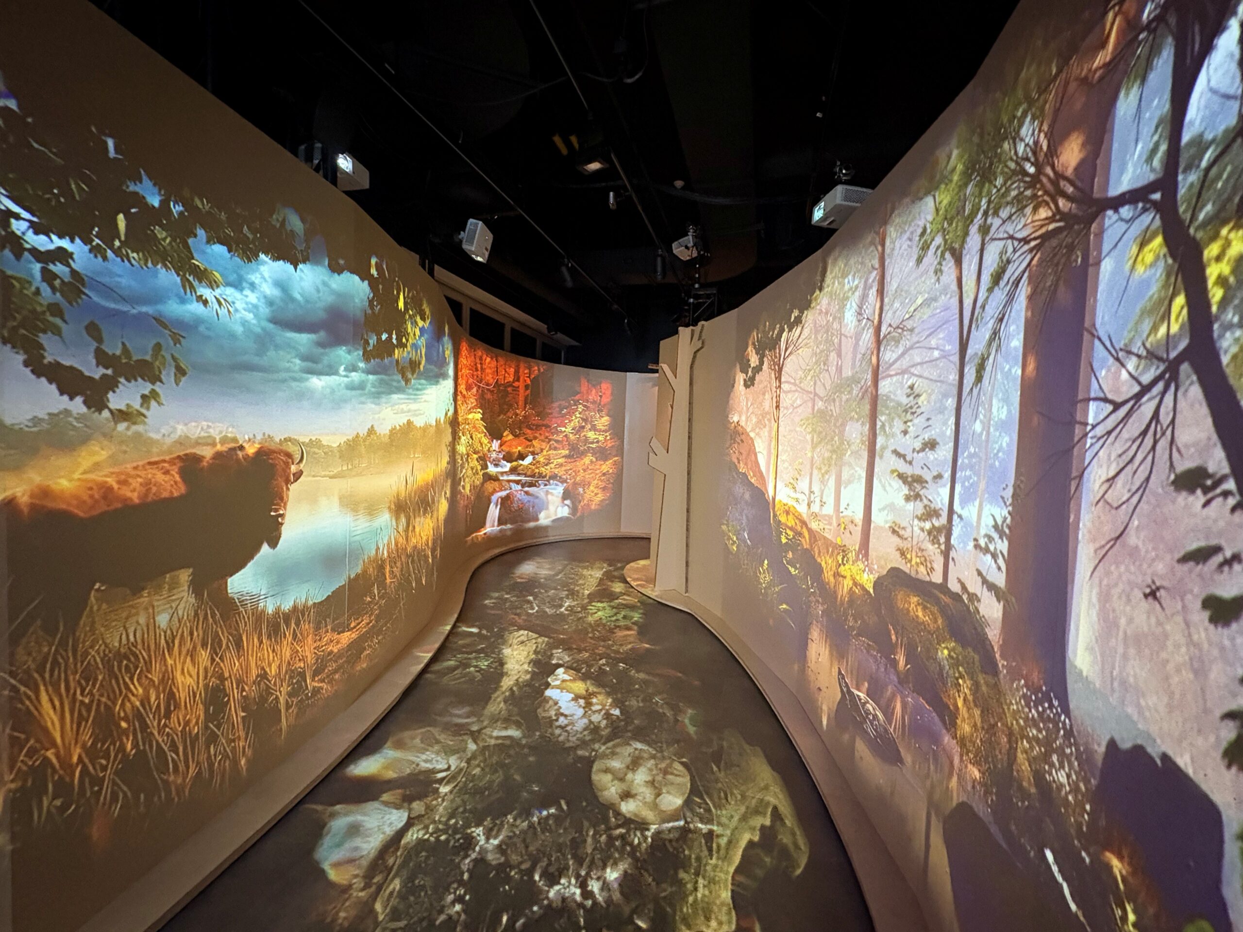 Gidinawendimin Exhibit